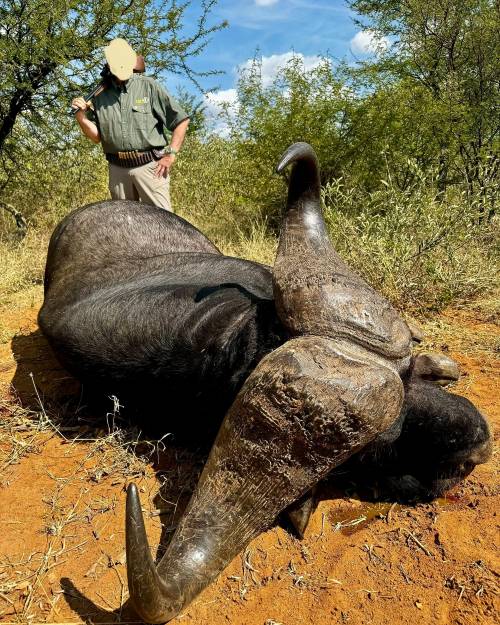 Leopard Hunting in Namibia & Brown Hyena Cancelation Hunt