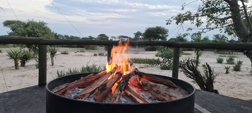 Leopard Hunting in Namibia & Brown Hyena Cancelation Hunt