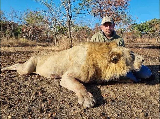 Leopard Hunting in Namibia & Brown Hyena Cancelation Hunt
