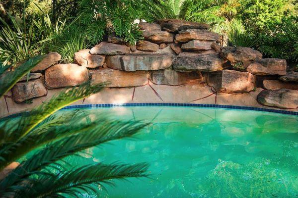 Leopard Hunting in Namibia & Brown Hyena Cancelation Hunt