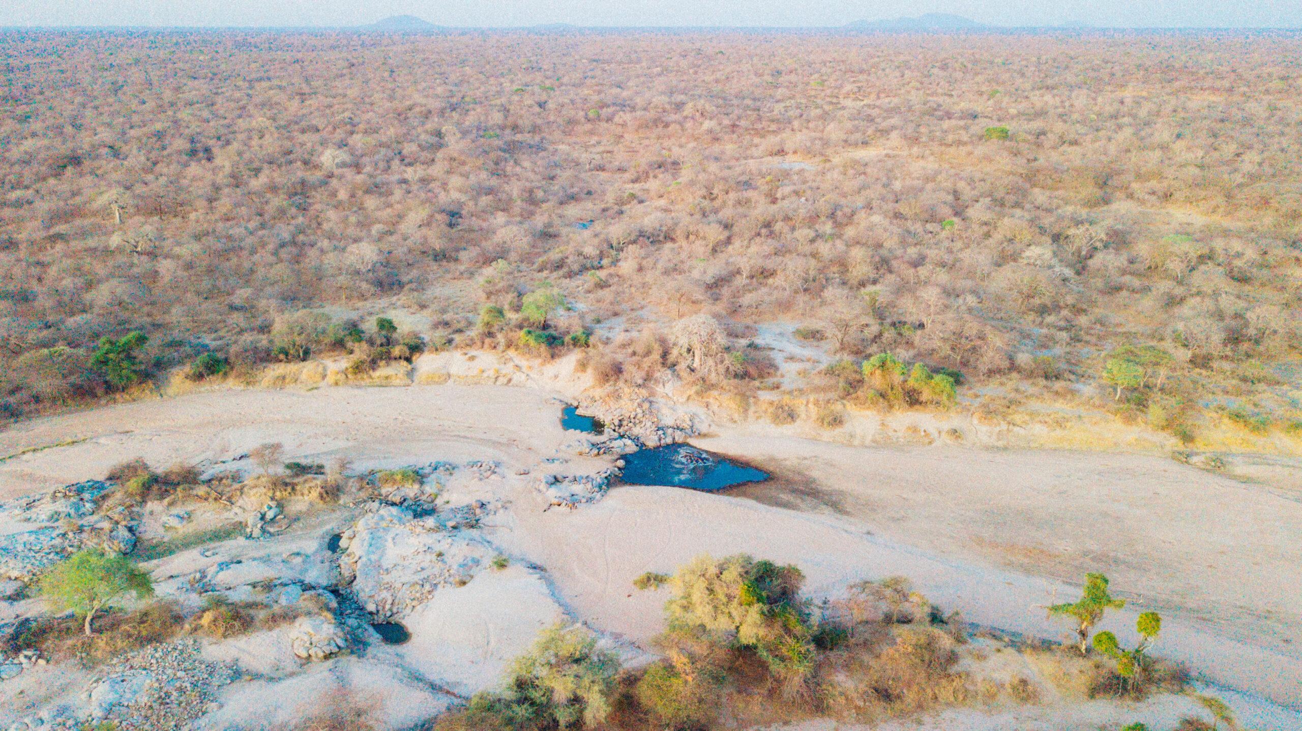 Tanzania Hunting Safari 4 x Species Spiral Horn Hunt