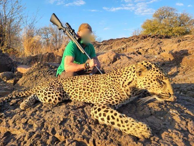 Leopard Hunting in Zimbabwe plus 7 x Plains Game Trophies