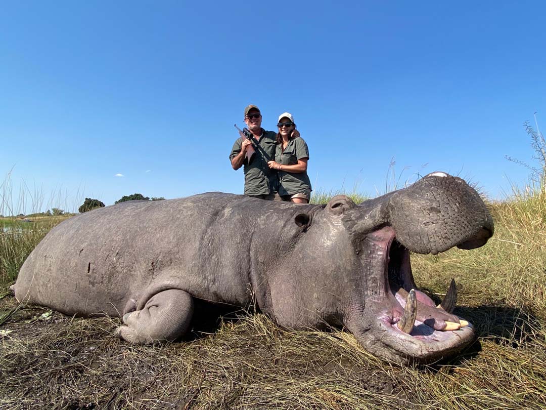 Hippo Hunting Safari in Namibia Non-Exportable