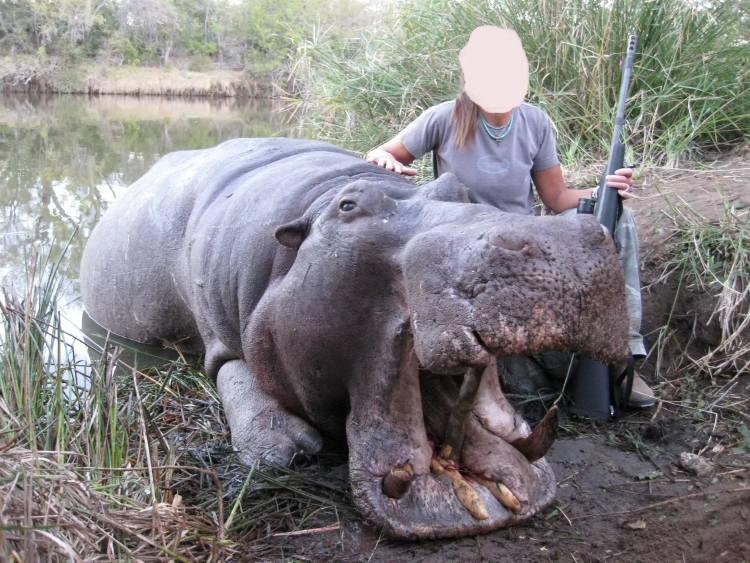 Leopard Hunting in Namibia & Brown Hyena Cancelation Hunt