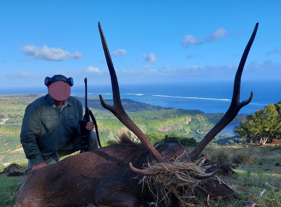 3-Day Wild Boar & Deer Hunting in Mauritius Plus More