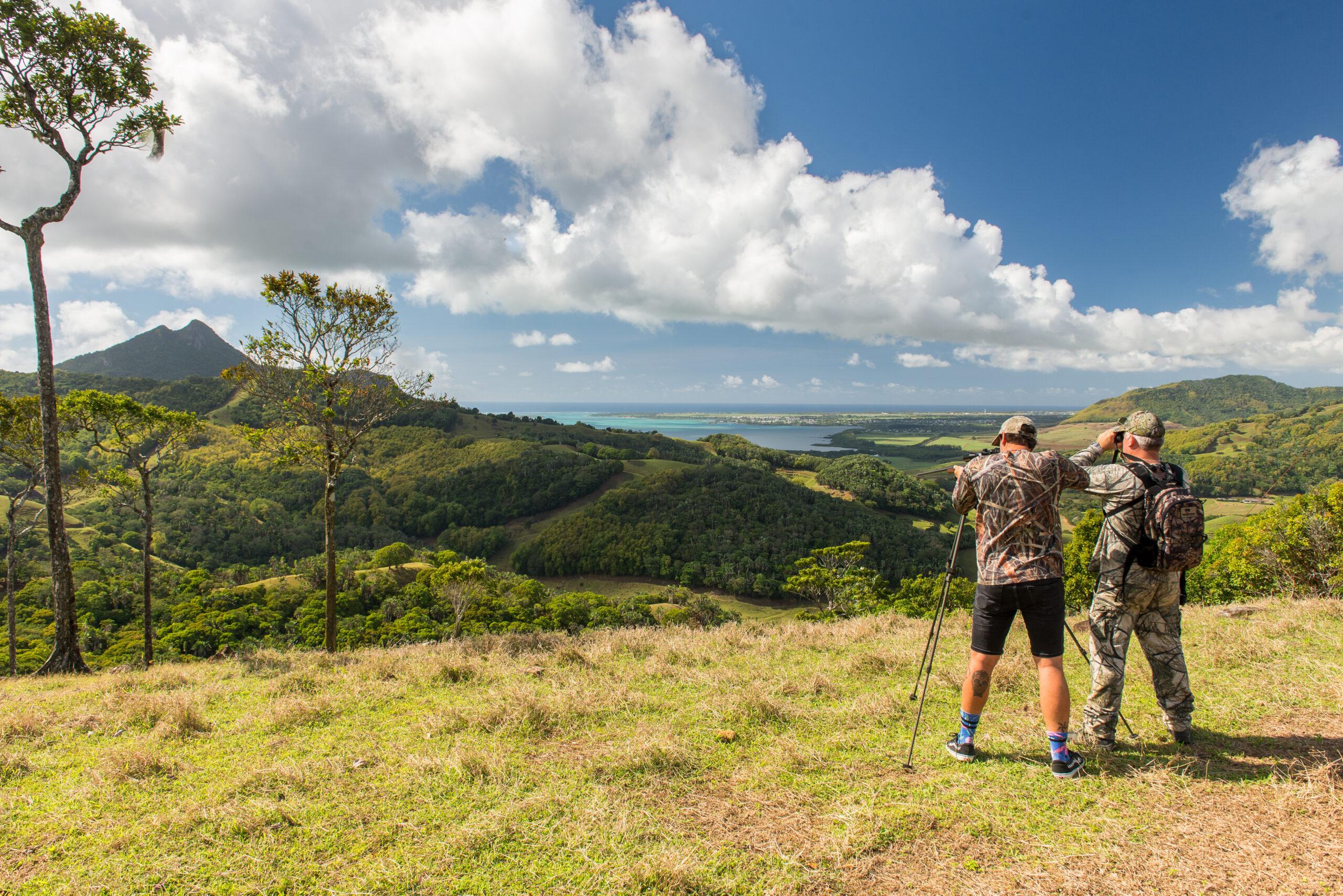 Wild Boar & Rusa Deer Hunting in Mauritius