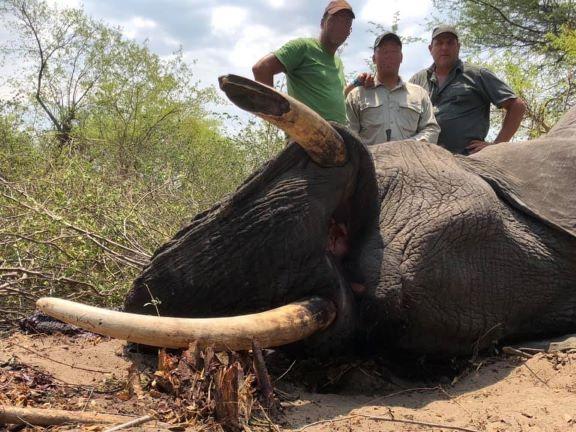 Leopard Hunting in Namibia & Brown Hyena Cancelation Hunt