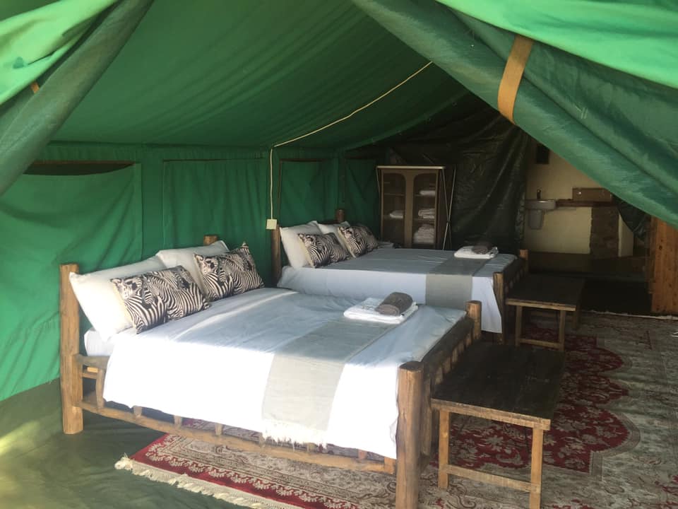 Leopard Hunting in Namibia & Brown Hyena Cancelation Hunt