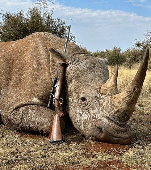 Leopard Hunting in Namibia & Brown Hyena Cancelation Hunt