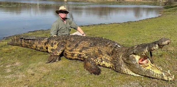 Hunt Hippo and Crocodile in Zambia - 10 x Days Nkala