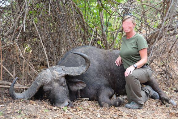 Safari Hunting in Zambia, Trophy Cape Buffalo Nkala GMA