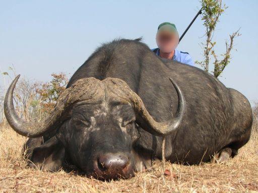 Trophy Buffalo hunting in Zimbabwe, 10 x Days in the Lowveld