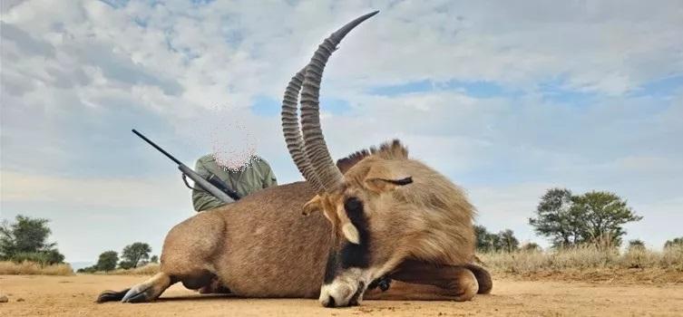 Leopard Hunting in Namibia & Brown Hyena Cancelation Hunt