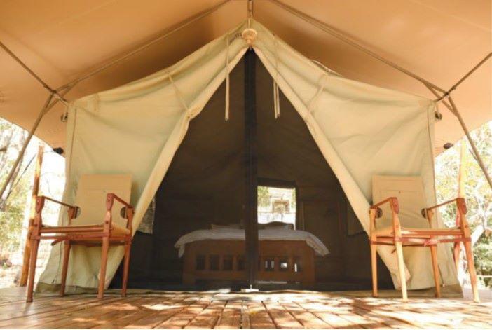 Leopard Hunting in Namibia & Brown Hyena Cancelation Hunt