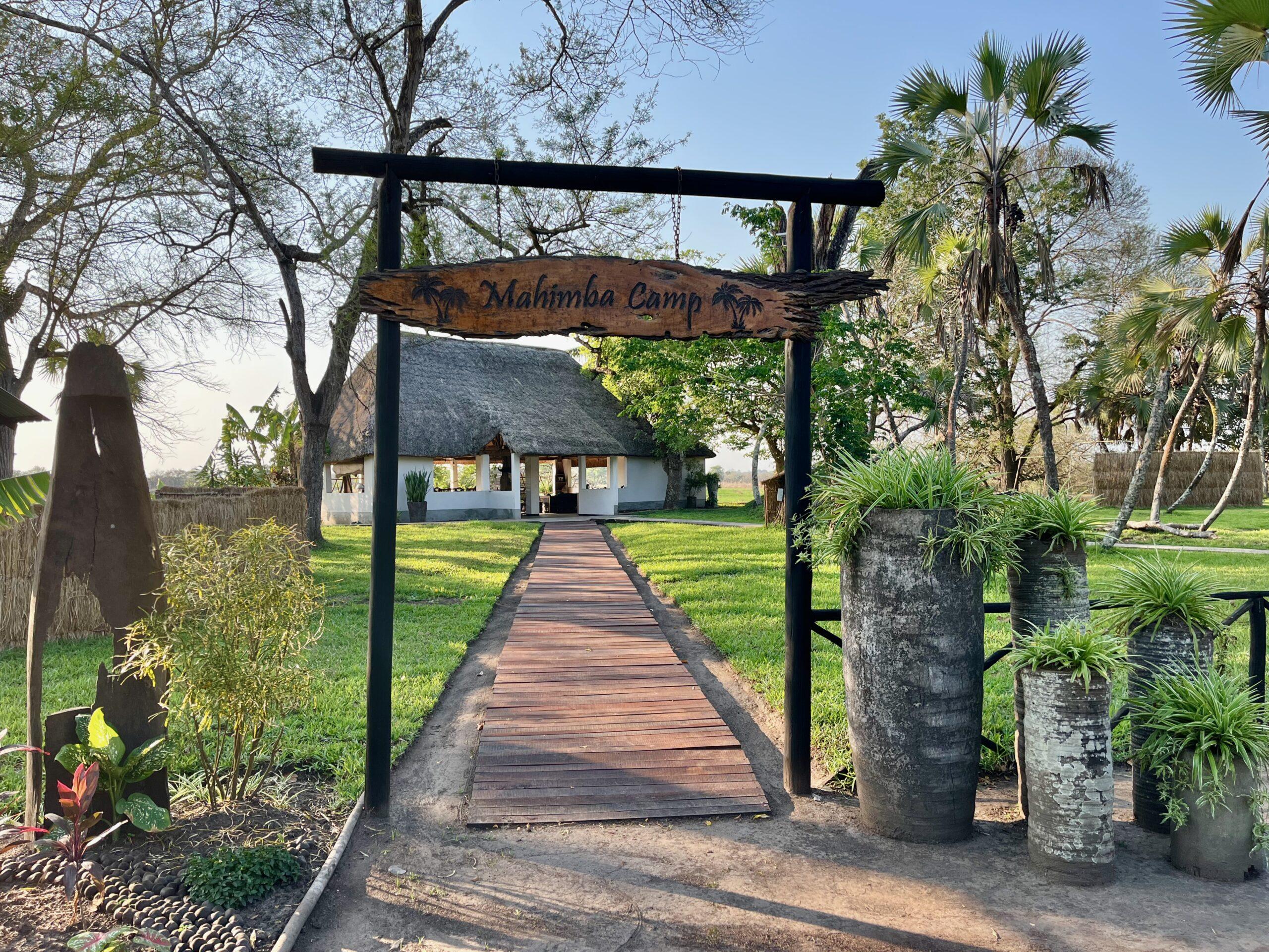 Leopard Hunting in Namibia & Brown Hyena Cancelation Hunt