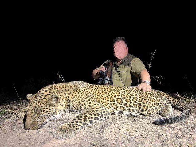 Leopard Hunting in Namibia & Brown Hyena Cancelation Hunt