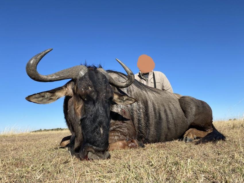 10-Day African Plains Game Safari in North West Province, SA