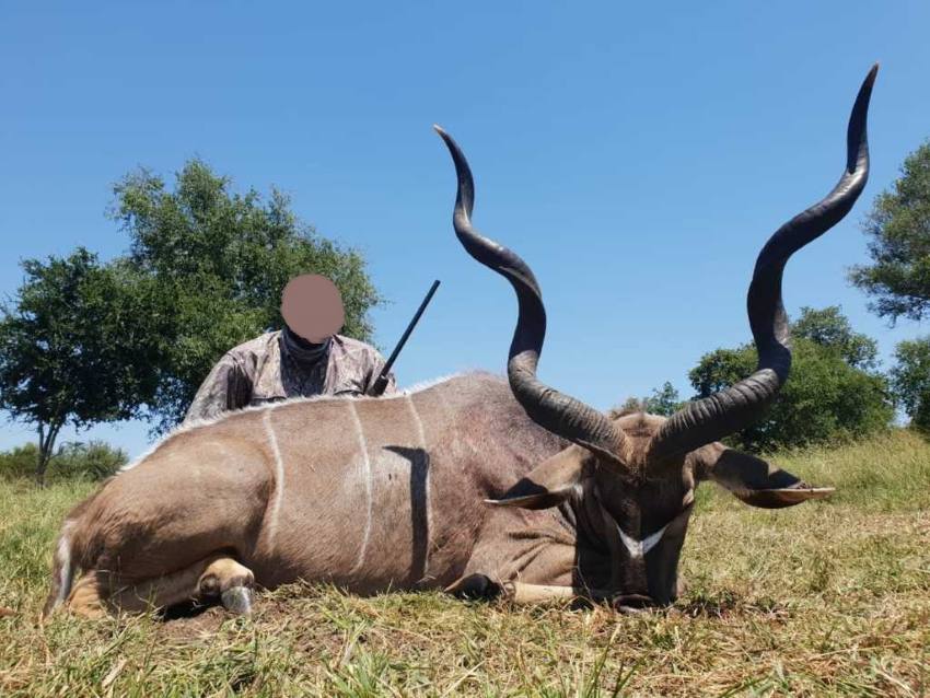 Leopard Hunting in Namibia & Brown Hyena Cancelation Hunt