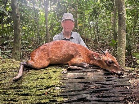 Leopard Hunting in Namibia & Brown Hyena Cancelation Hunt