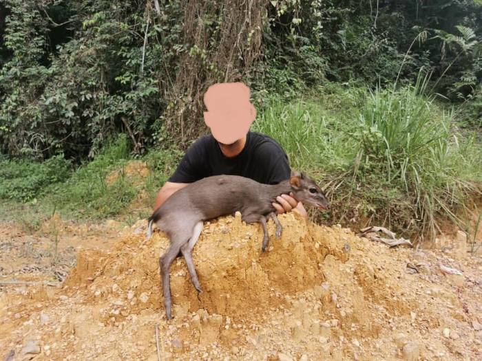 Leopard Hunting in Namibia & Brown Hyena Cancelation Hunt