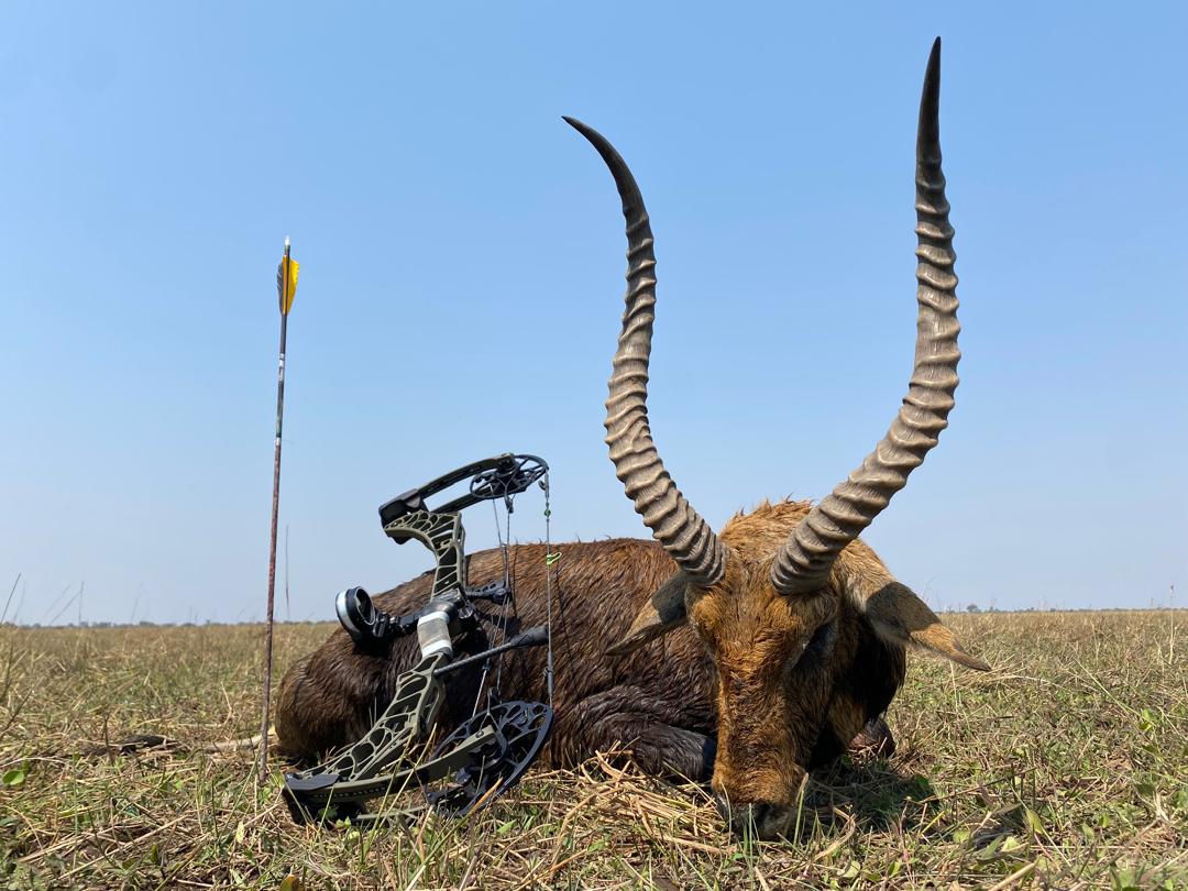 Leopard Hunting in Namibia & Brown Hyena Cancelation Hunt