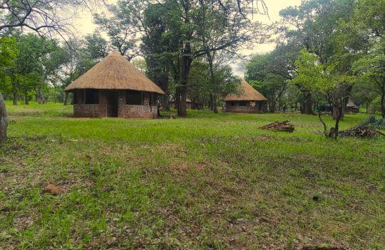 Leopard Hunting in Namibia & Brown Hyena Cancelation Hunt