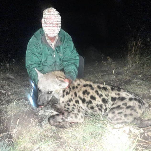 Leopard Hunting in Namibia & Brown Hyena Cancelation Hunt
