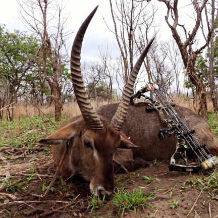 Leopard Hunting in Namibia & Brown Hyena Cancelation Hunt