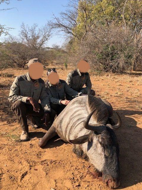 Leopard Hunting in Namibia & Brown Hyena Cancelation Hunt