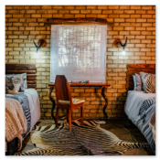 Leopard Hunting in Namibia & Brown Hyena Cancelation Hunt