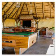 Leopard Hunting in Namibia & Brown Hyena Cancelation Hunt