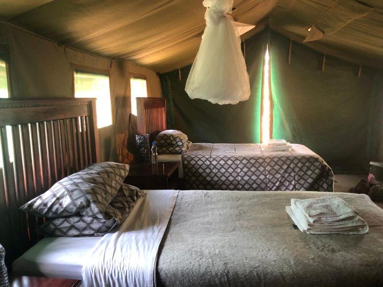 Leopard Hunting in Namibia & Brown Hyena Cancelation Hunt