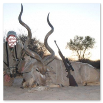 African Kudu Hunt in Namibia: 8 Days Hunting 4 Species
