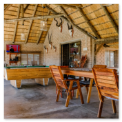 Leopard Hunting in Namibia & Brown Hyena Cancelation Hunt