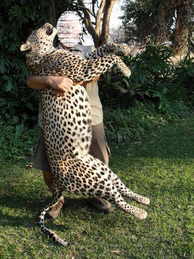 Leopard Hunting in Namibia & Brown Hyena Cancelation Hunt