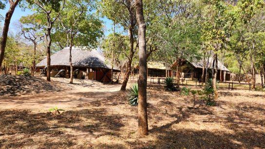 Leopard Hunting in Namibia & Brown Hyena Cancelation Hunt