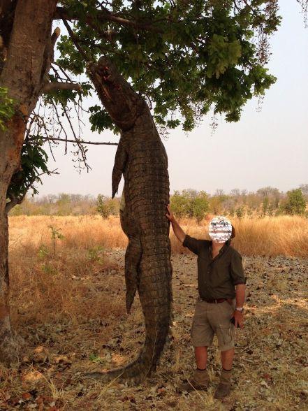 Leopard Hunting in Namibia & Brown Hyena Cancelation Hunt