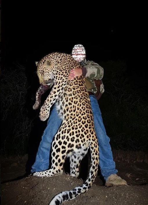 Leopard Hunting in Namibia & Brown Hyena Cancelation Hunt