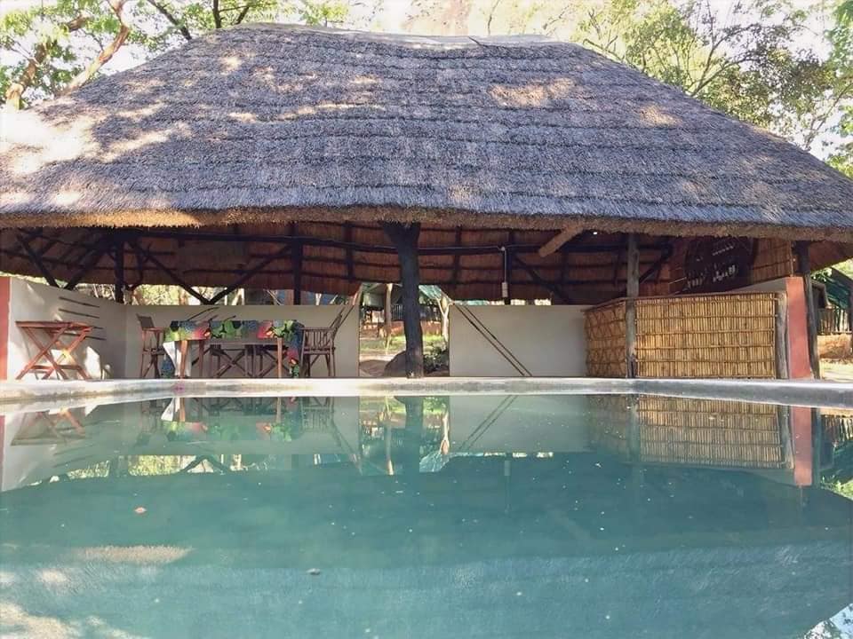 Leopard Hunting in Namibia & Brown Hyena Cancelation Hunt