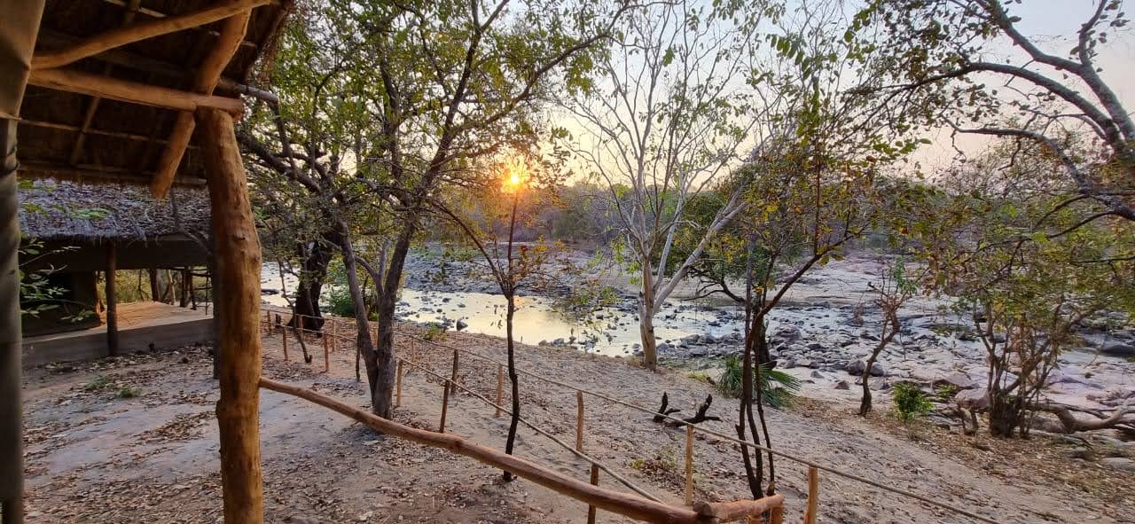 Leopard Hunting in Namibia & Brown Hyena Cancelation Hunt