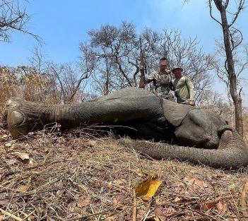 Leopard Hunting in Namibia & Brown Hyena Cancelation Hunt