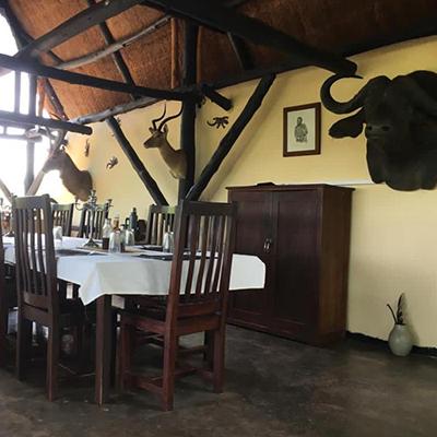 Leopard Hunting in Namibia & Brown Hyena Cancelation Hunt