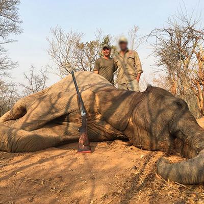 Leopard Hunting in Namibia & Brown Hyena Cancelation Hunt