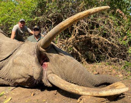 Leopard Hunting in Namibia & Brown Hyena Cancelation Hunt