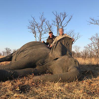 Leopard Hunting in Namibia & Brown Hyena Cancelation Hunt