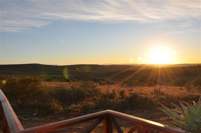 Leopard Hunting in Namibia & Brown Hyena Cancelation Hunt