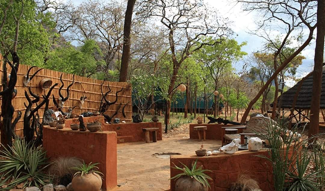 Leopard Hunting in Namibia & Brown Hyena Cancelation Hunt