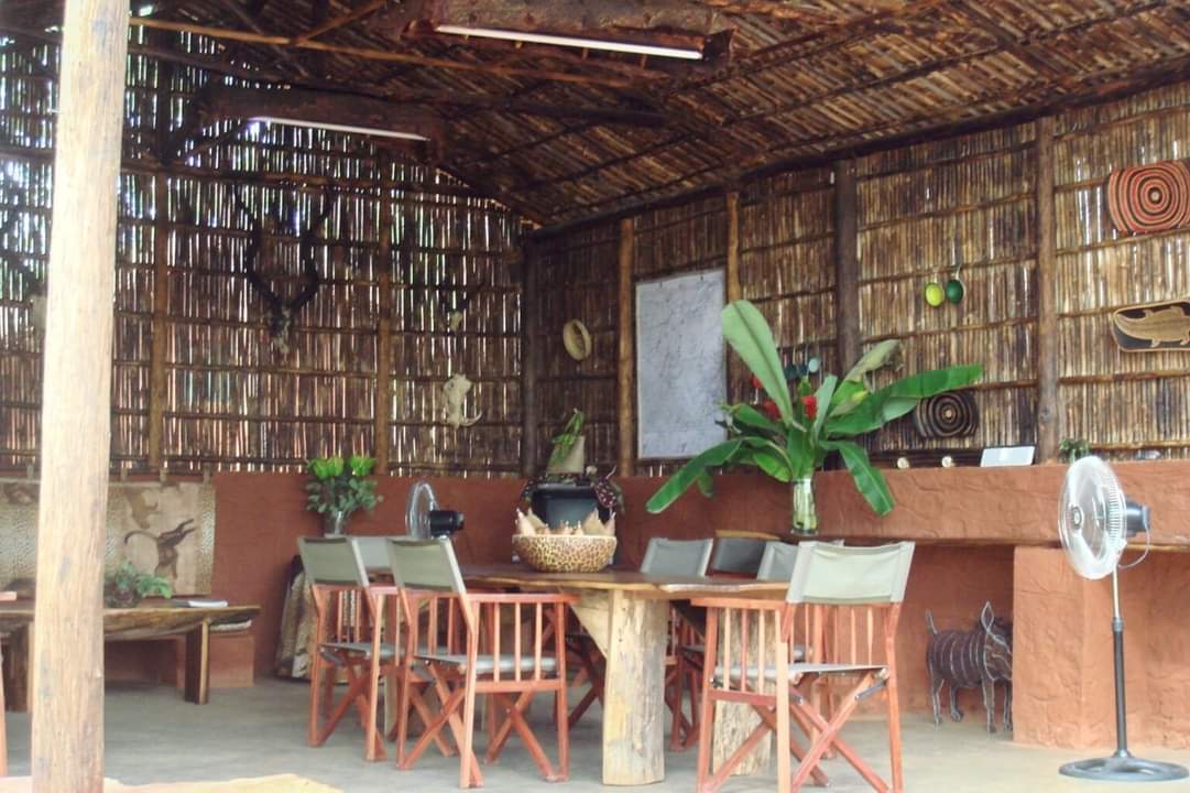 Leopard Hunting in Namibia & Brown Hyena Cancelation Hunt