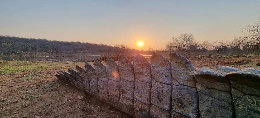 Leopard Hunting in Namibia & Brown Hyena Cancelation Hunt