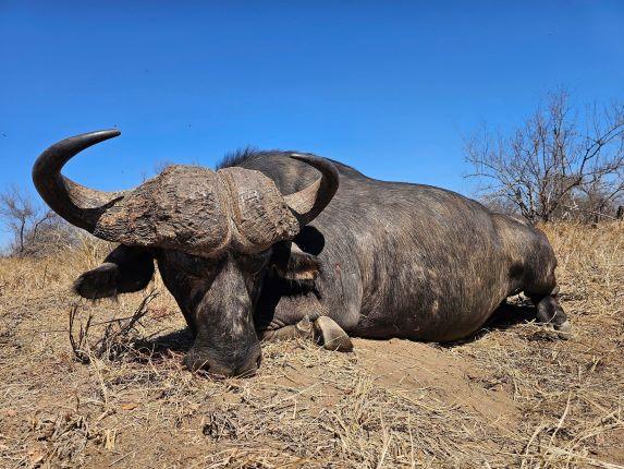 Leopard Hunting in Namibia & Brown Hyena Cancelation Hunt